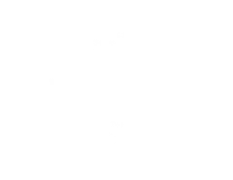 Official Selection, Phoenix Rising International Film Festival 2025